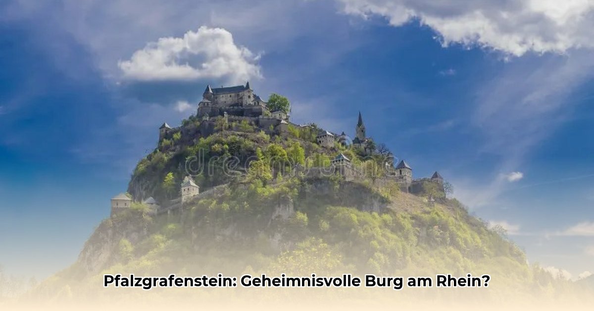 burg-pfalzgrafenstein